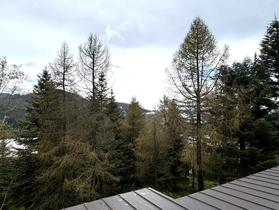 Immagine 16 di Appartamento in vendita  in Via Galassia a Frabosa Sottana