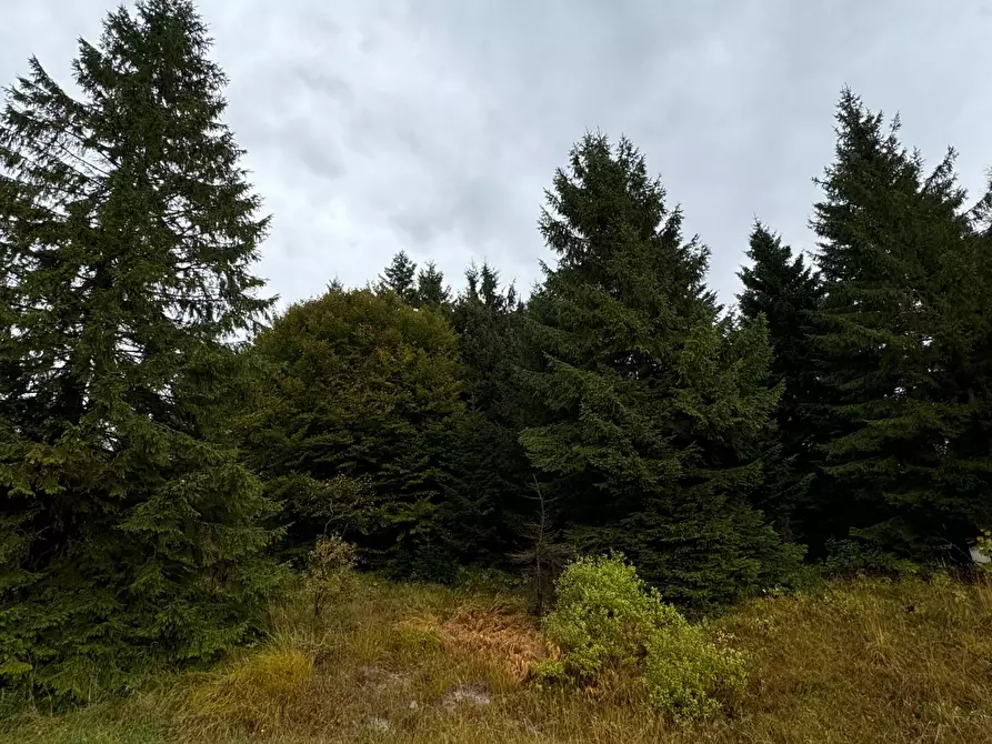 Immagine 30 di Appartamento in vendita  in Via Galassia a Frabosa Sottana