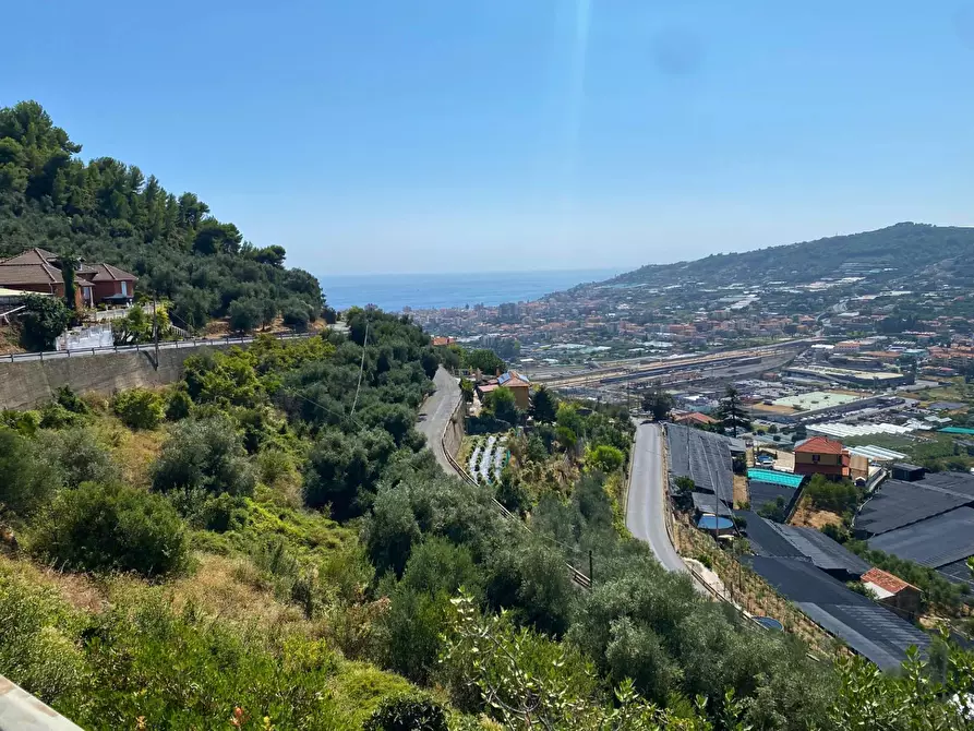 Immagine 1 di Terreno agricolo in vendita  in Strada Provinciale 51 a Taggia