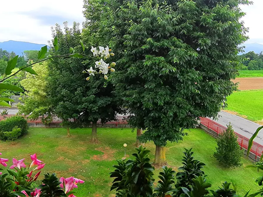 Immagine 4 di Appartamento in vendita  in Via Lirone a Ciriè