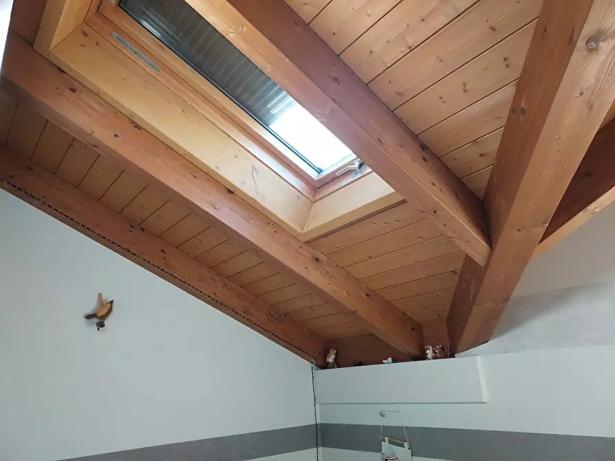 Immagine 21 di Villa in vendita  in Via ai Colli a Barbania