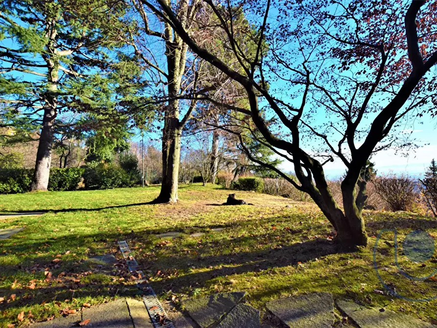 Immagine 8 di Villa in vendita  in Strada Maddalena a Moncalieri