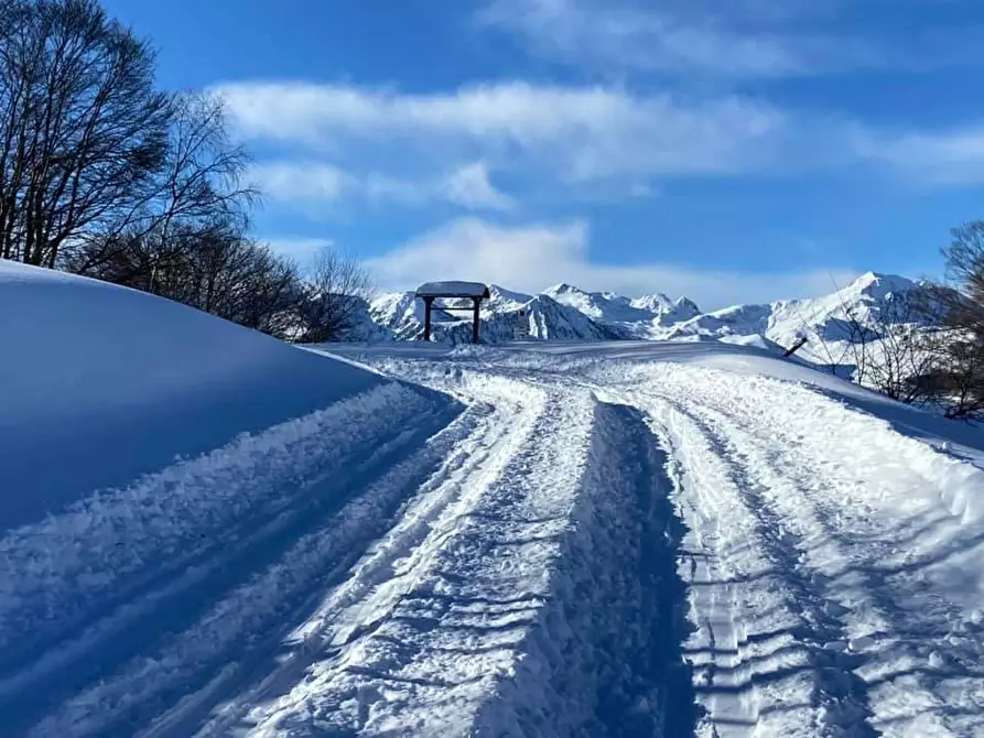 Immagine 21 di Appartamento in vendita  in Via Tetti a Roburent