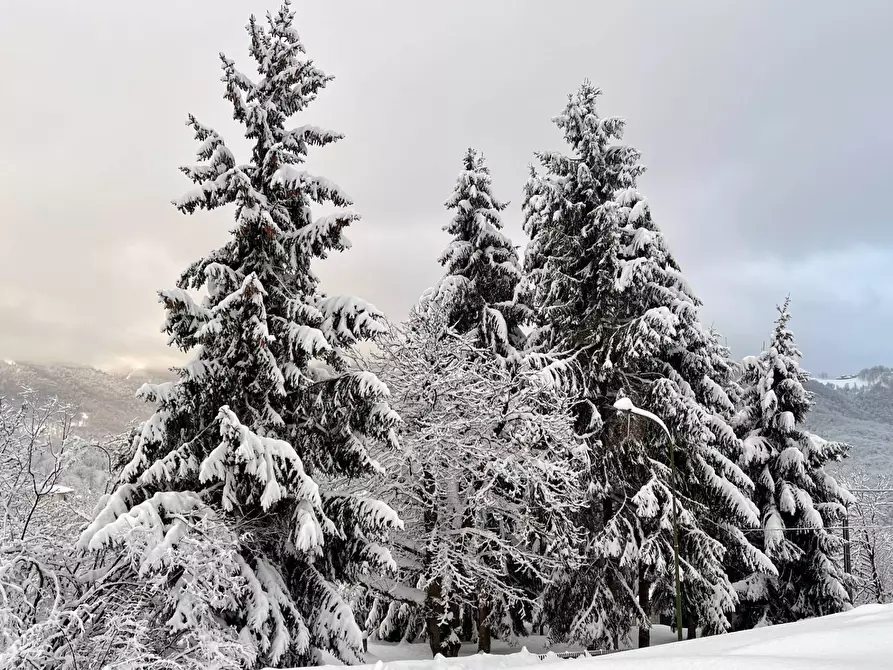 Immagine 23 di Appartamento in vendita  in Via Tetti a Roburent