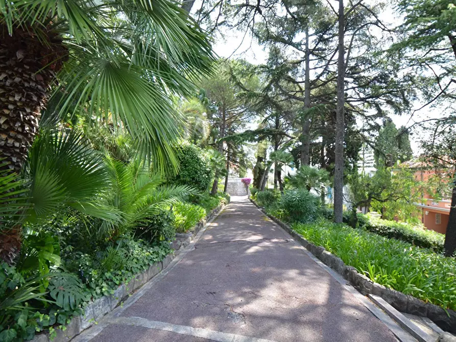 Immagine 17 di Attico in vendita  in via duca degli Abruzzi a San Remo