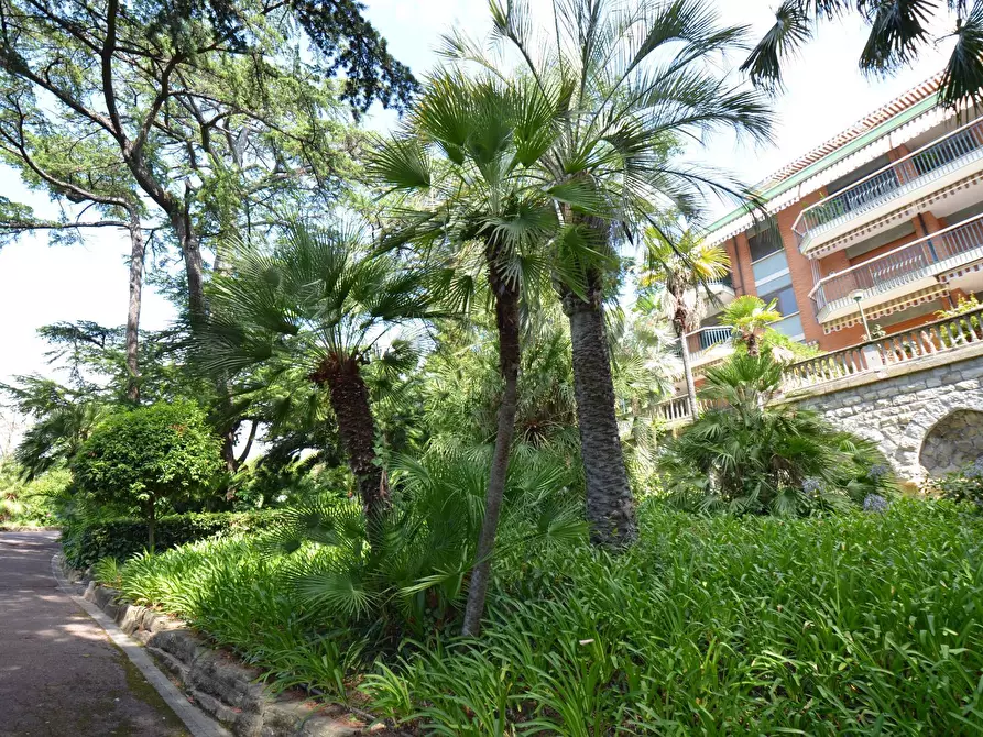 Immagine 19 di Attico in vendita  in via duca degli Abruzzi a San Remo