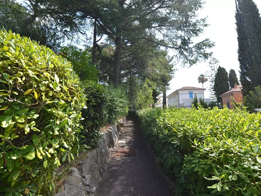 Immagine 20 di Attico in vendita  in via duca degli Abruzzi a San Remo