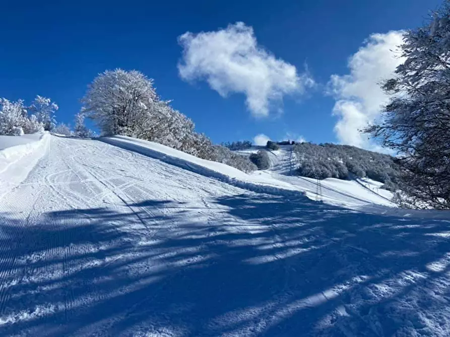 Immagine 16 di Appartamento in vendita  in Località Cardini a Roburent