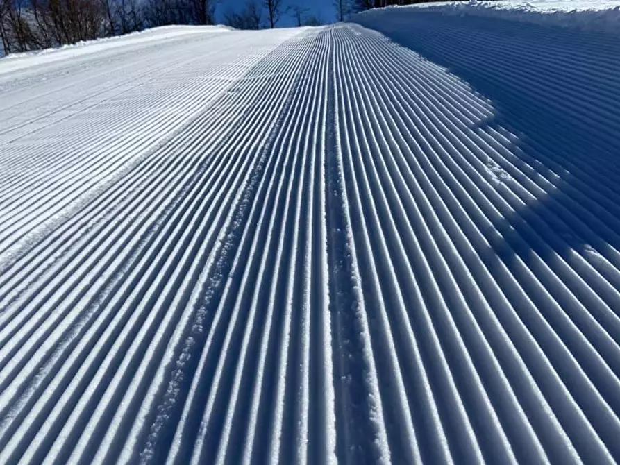 Immagine 19 di Appartamento in vendita  in Località Cardini a Roburent