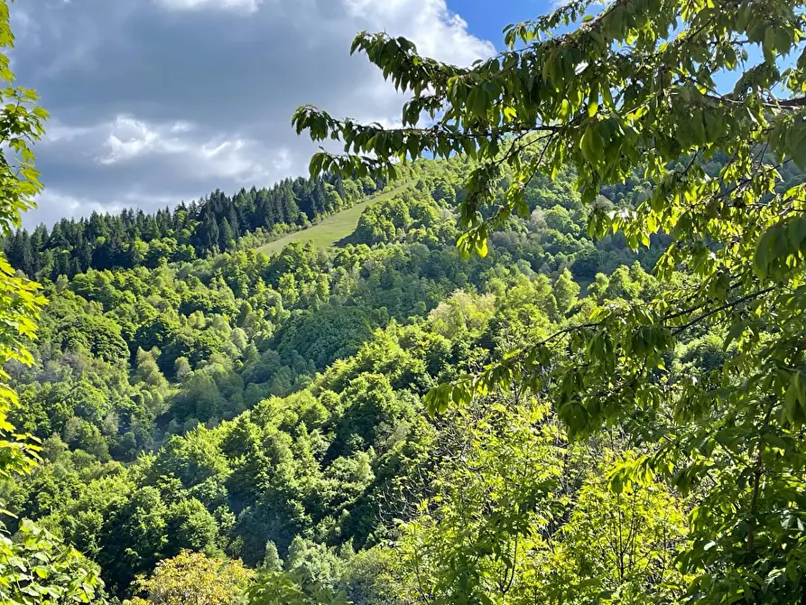 Immagine 15 di Palazzo in vendita  in Località Cardini a Roburent