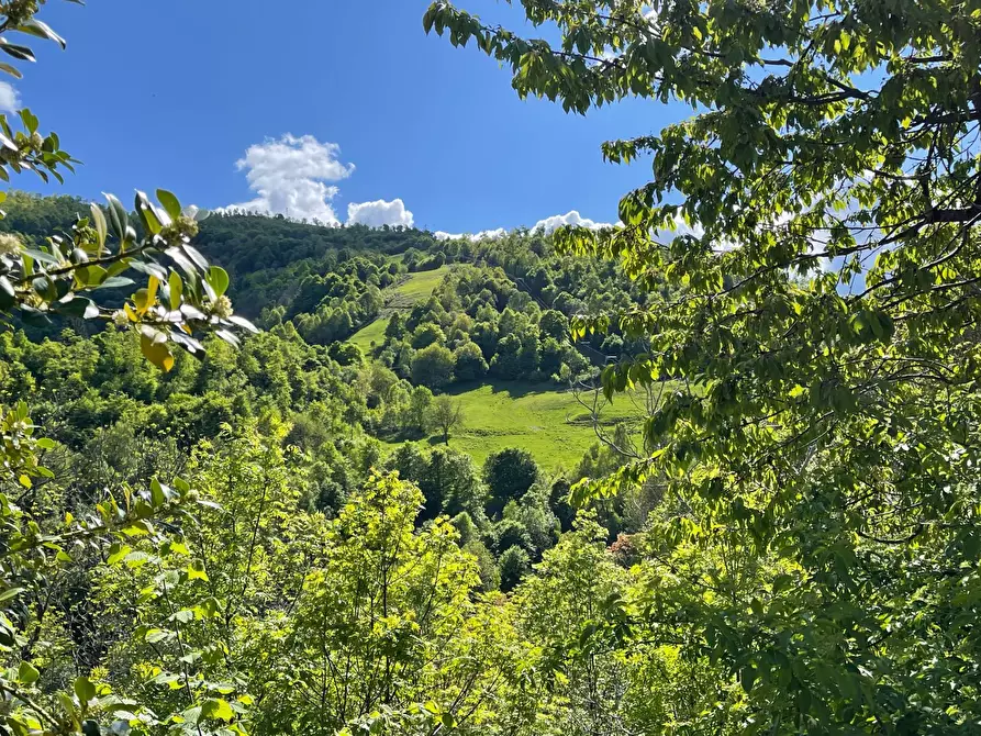 Immagine 16 di Palazzo in vendita  in Località Cardini a Roburent