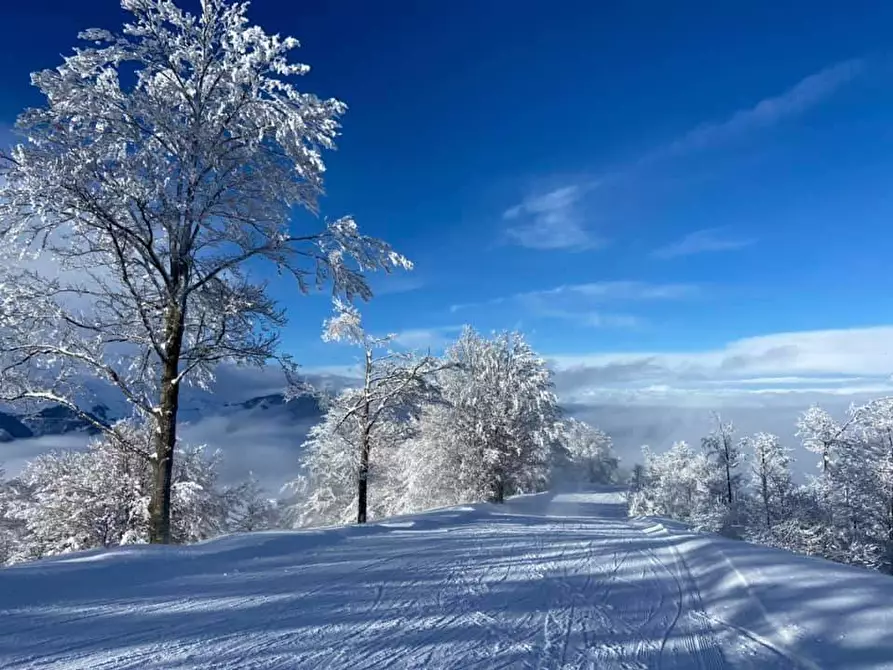 Immagine 21 di Palazzo in vendita  in Località Cardini a Roburent