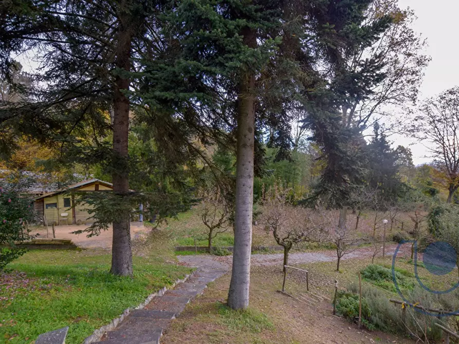 Immagine 15 di Villa in vendita  in Strada Eremo a Pecetto Torinese