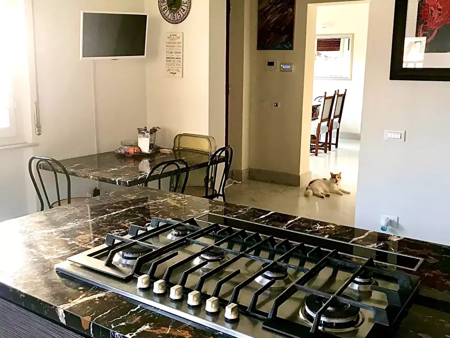 Immagine 18 di Villa in vendita  in Viale Amerigo Vespucci a Massa