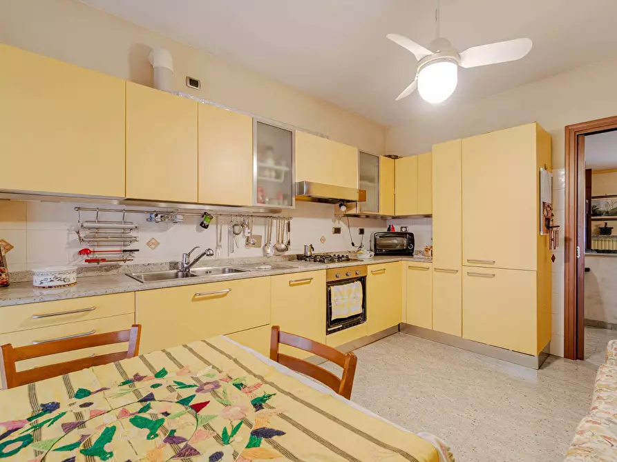 Immagine 22 di Appartamento in vendita  in via vittorio zanellato a Venaria Reale