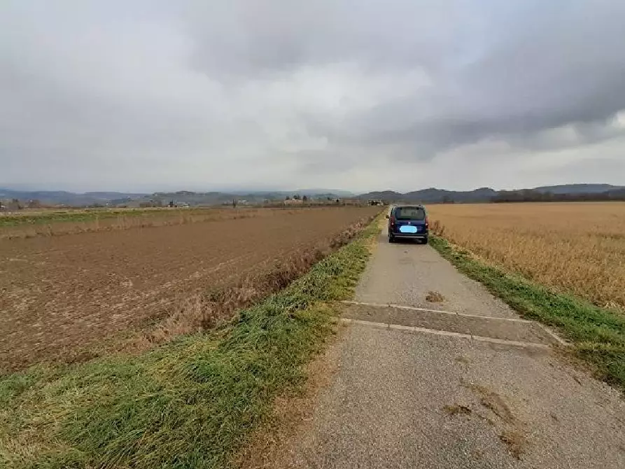 Immagine 2 di Terreno agricolo in vendita  a San Floriano Del Collio