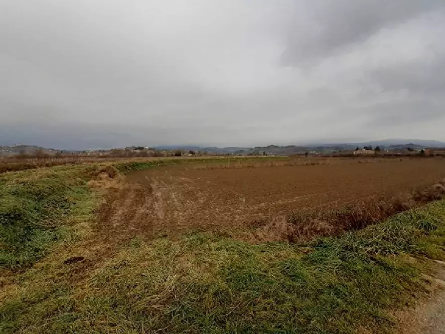 Immagine 3 di Terreno agricolo in vendita  a San Floriano Del Collio