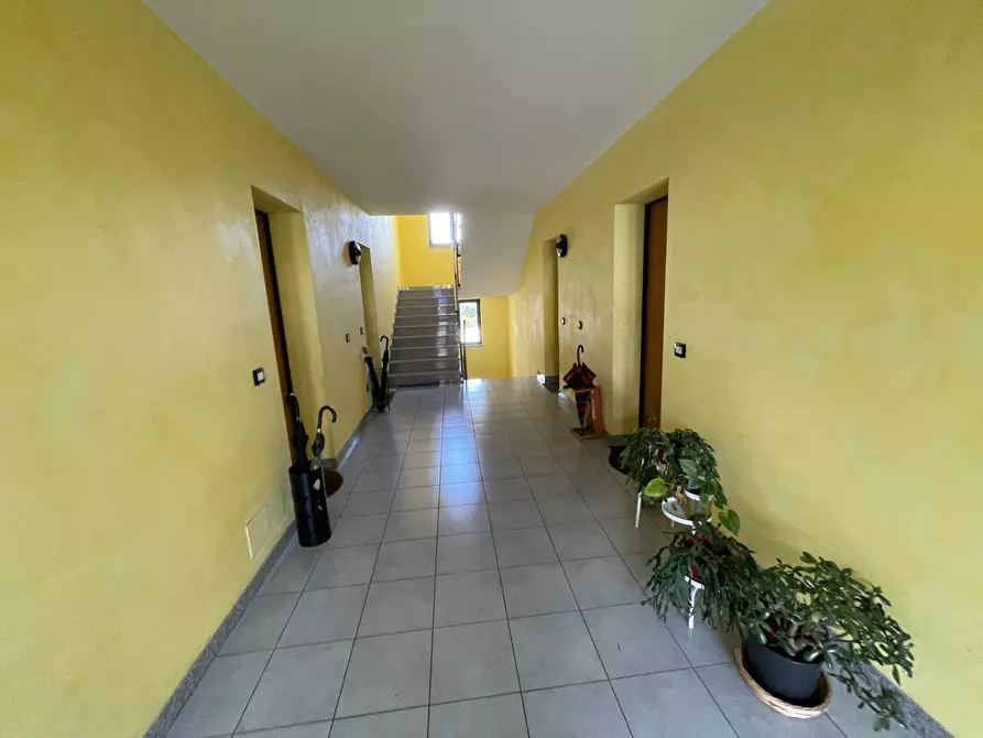 Immagine 3 di Appartamento in vendita  in via Trieste a Gorizia