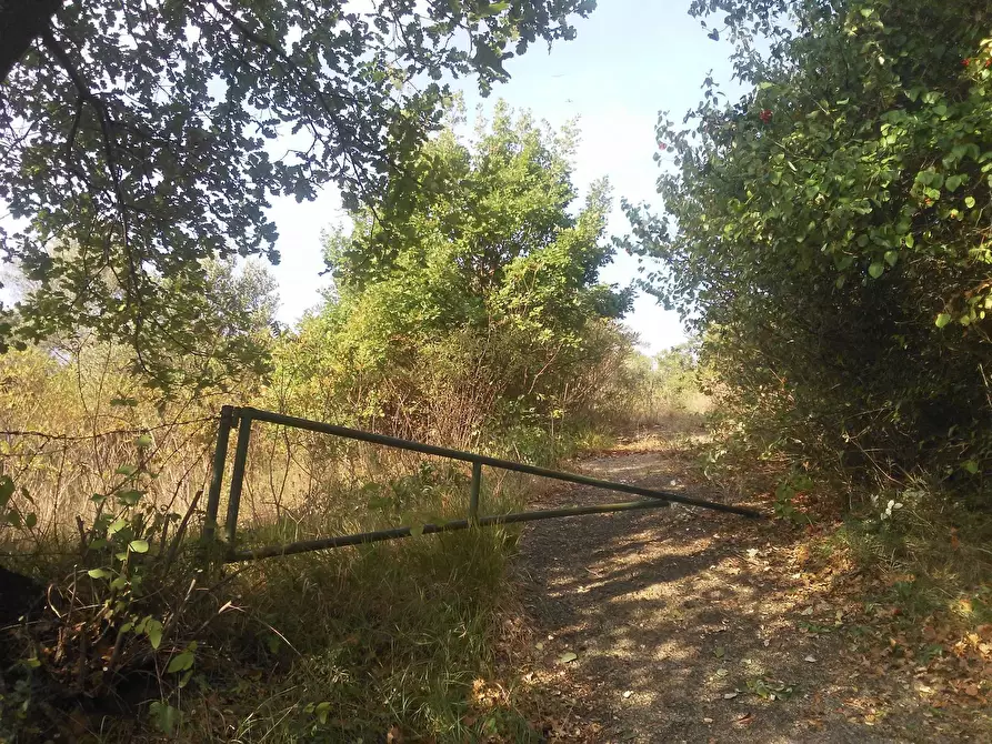 Immagine 1 di Terreno agricolo in vendita  in strada comunale della Caprara a Guidonia Montecelio