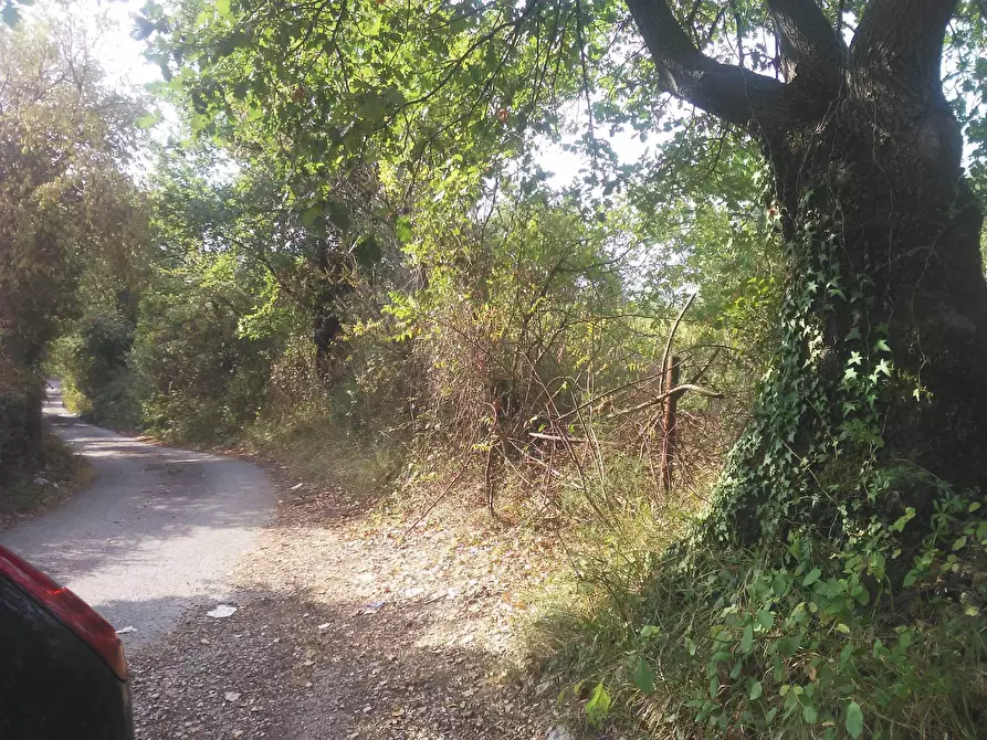 Immagine 1 di Terreno agricolo in vendita  in strada comunale della Caprara a Guidonia Montecelio