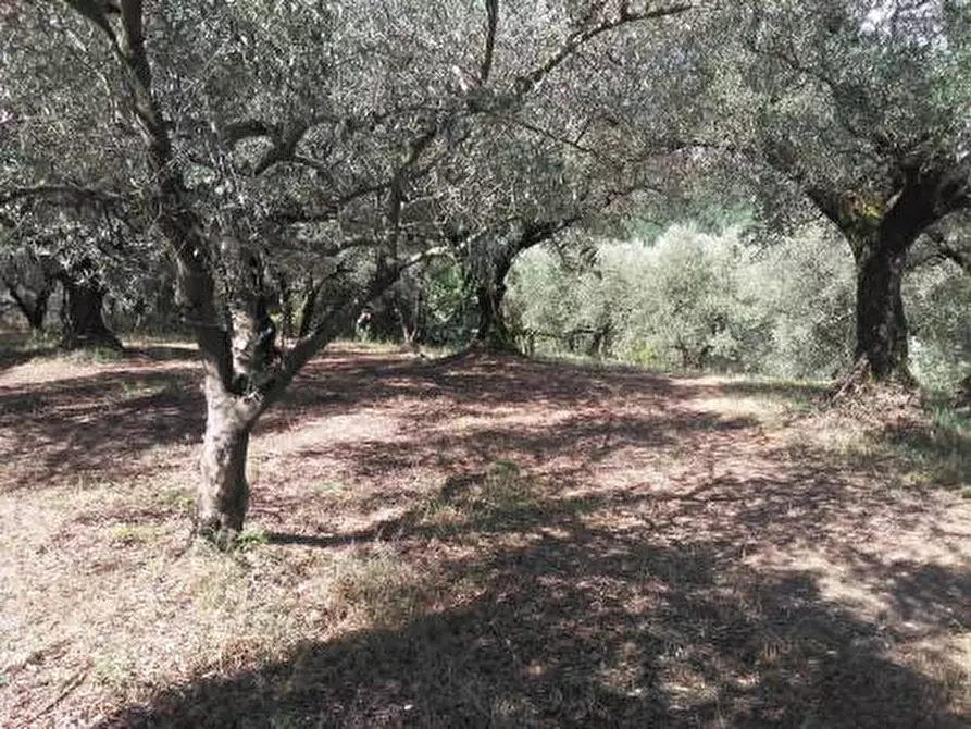 Immagine 1 di Terreno agricolo in vendita  in via Colle San Francesco a Guidonia Montecelio