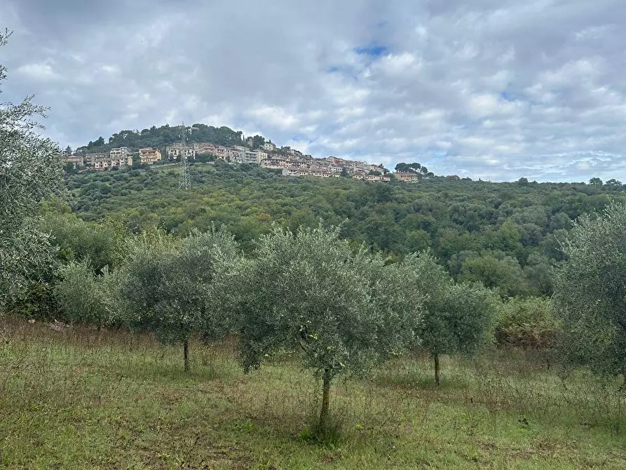 Immagine 9 di Terreno agricolo in vendita  in via colle spinello a Guidonia Montecelio