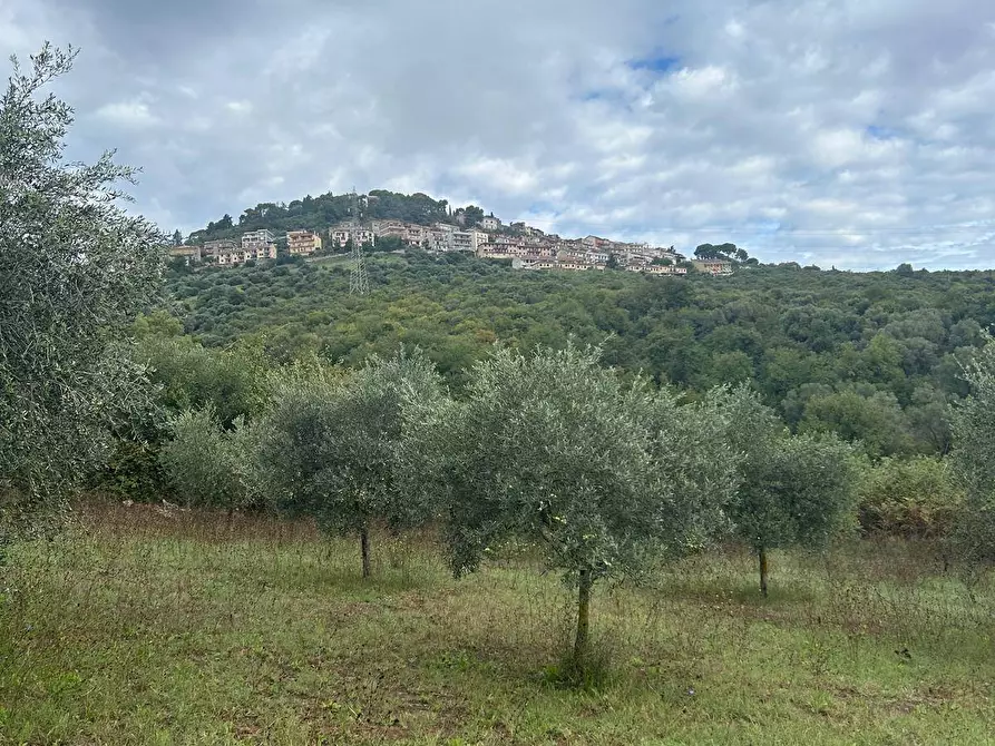 Immagine 12 di Terreno agricolo in vendita  in via colle spinello a Guidonia Montecelio