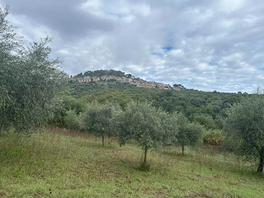 Immagine 2 di Terreno agricolo in vendita  in via colle spinello a Guidonia Montecelio