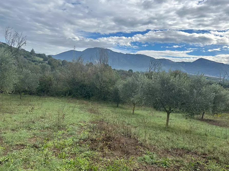 Immagine 10 di Terreno agricolo in vendita  in via colle spinello a Guidonia Montecelio