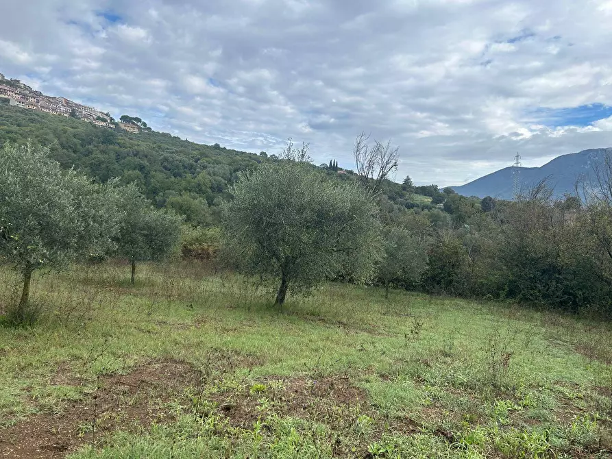 Immagine 13 di Terreno agricolo in vendita  in via colle spinello a Guidonia Montecelio