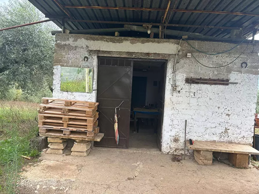 Immagine 3 di Terreno agricolo in vendita  in via colle spinello a Guidonia Montecelio