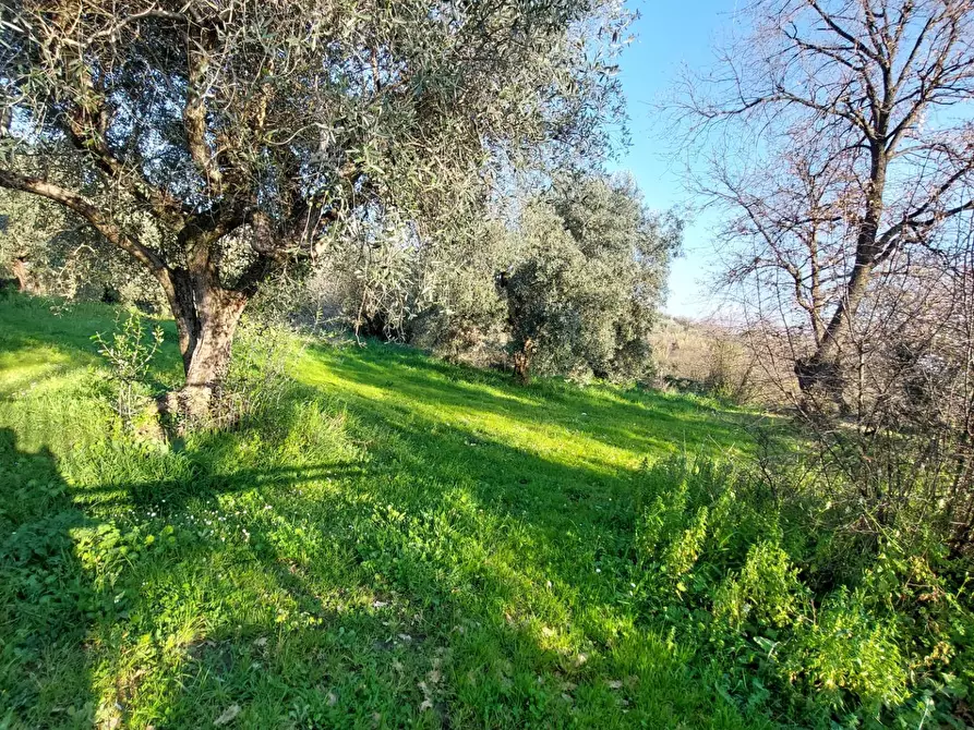Immagine 3 di Terreno agricolo in vendita  in VIA COLLE DELL'ORO a Guidonia Montecelio