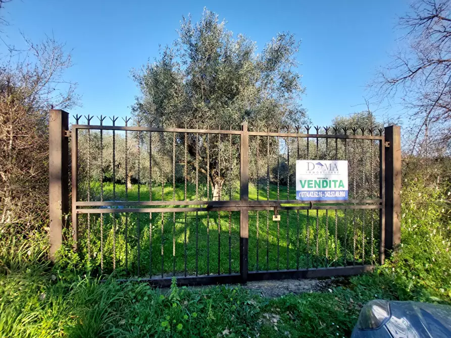 Immagine 11 di Terreno agricolo in vendita  in VIA COLLE DELL'ORO a Guidonia Montecelio