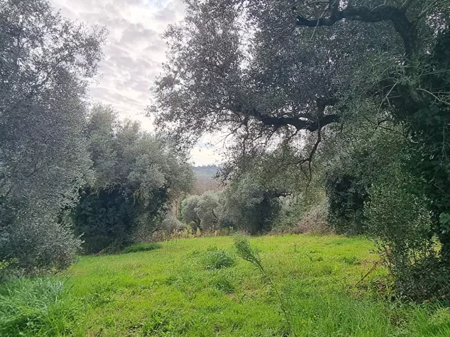 Immagine 8 di Terreno agricolo in vendita  in VIA COLLE DELL'ORO a Guidonia Montecelio