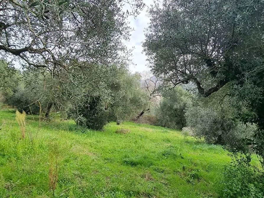 Immagine 2 di Terreno agricolo in vendita  in VIA COLLE DELL'ORO a Guidonia Montecelio