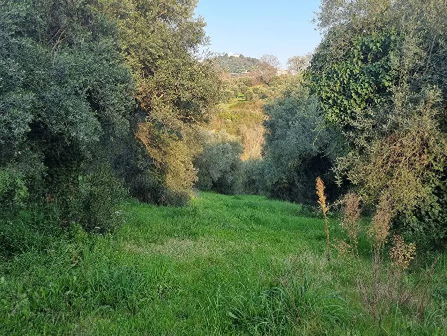 Immagine 10 di Terreno agricolo in vendita  in VIA COLLE DELL'ORO a Guidonia Montecelio