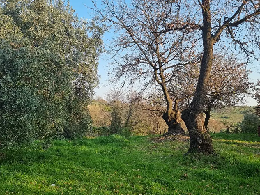 Immagine 13 di Terreno agricolo in vendita  in VIA COLLE DELL'ORO a Guidonia Montecelio