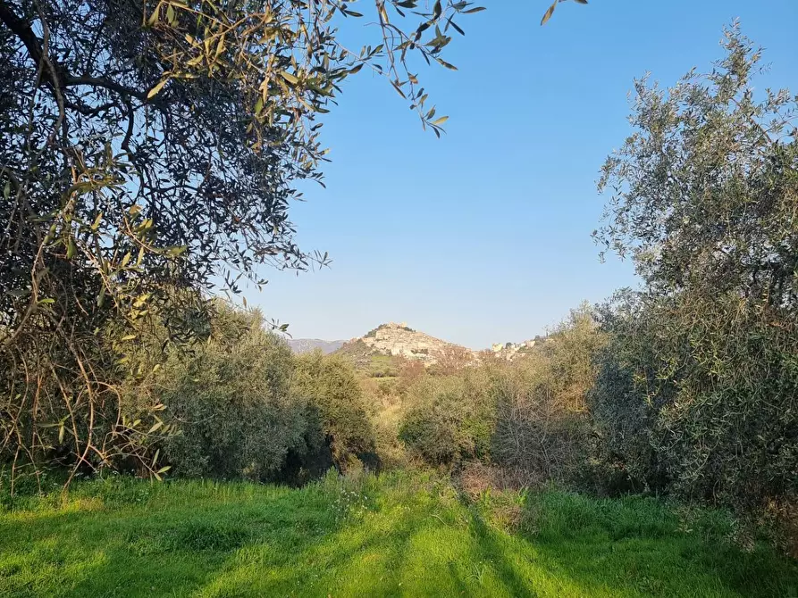 Immagine 14 di Terreno agricolo in vendita  in VIA COLLE DELL'ORO a Guidonia Montecelio