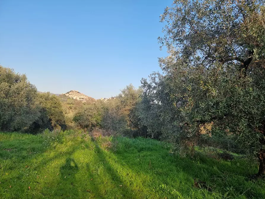 Immagine 15 di Terreno agricolo in vendita  in VIA COLLE DELL'ORO a Guidonia Montecelio