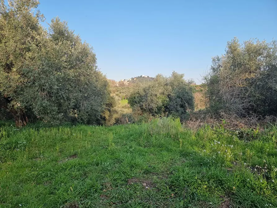 Immagine 16 di Terreno agricolo in vendita  in VIA COLLE DELL'ORO a Guidonia Montecelio