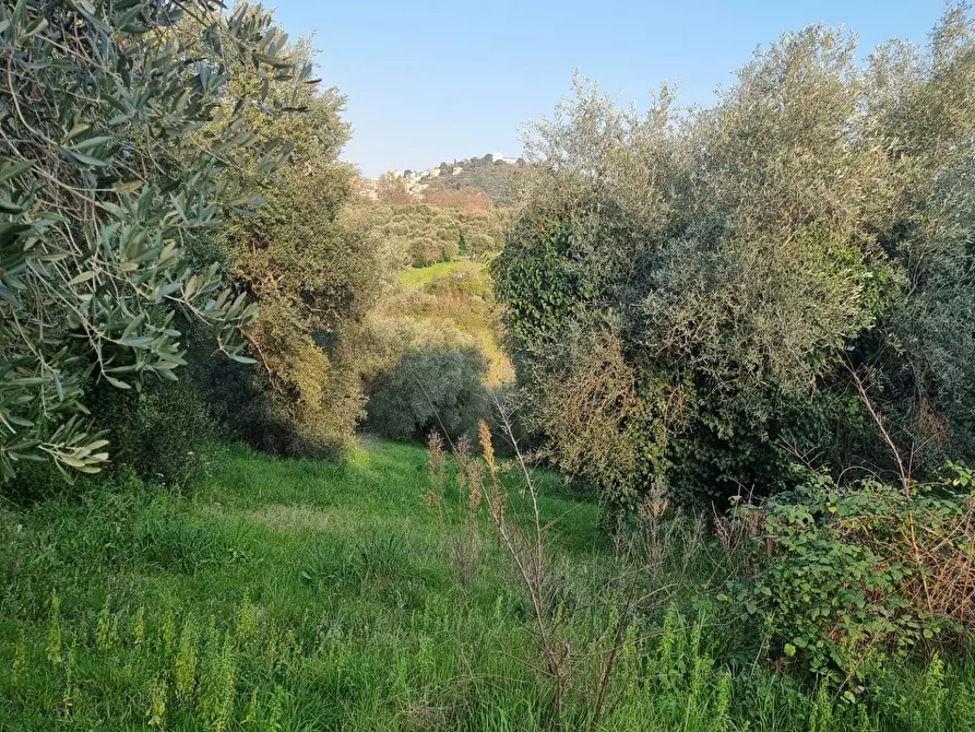 Immagine 17 di Terreno agricolo in vendita  in VIA COLLE DELL'ORO a Guidonia Montecelio