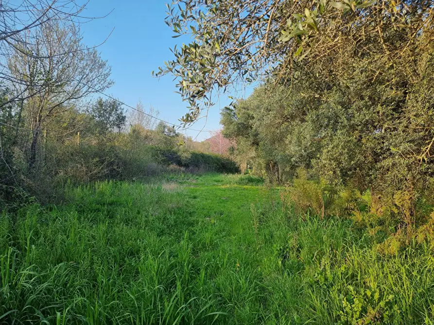 Immagine 19 di Terreno agricolo in vendita  in VIA COLLE DELL'ORO a Guidonia Montecelio