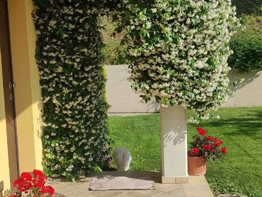 Immagine 10 di Villa in vendita  in Via A. Bafile a Teramo