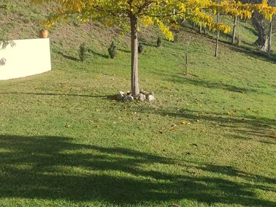 Immagine 11 di Villa in vendita  in Via A. Bafile a Teramo