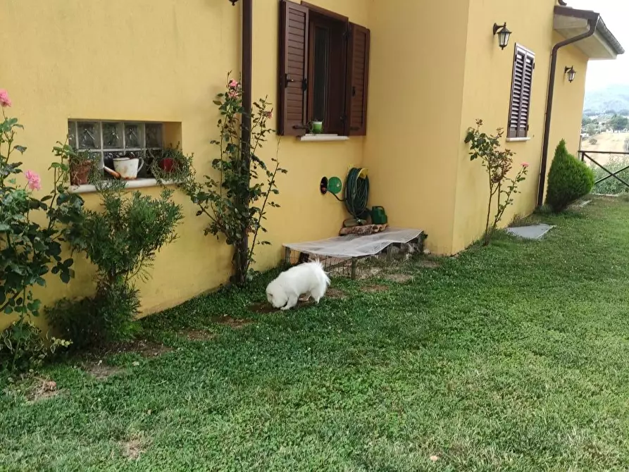 Immagine 16 di Villa in vendita  in Via A. Bafile a Teramo
