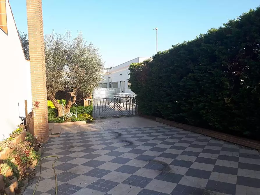 Immagine 5 di Locale commerciale in affitto  in Via C. Bruschelli a Teramo