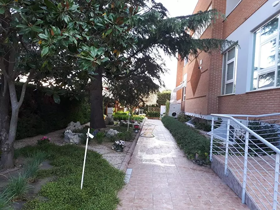 Immagine 8 di Locale commerciale in affitto  in Via C. Bruschelli a Teramo