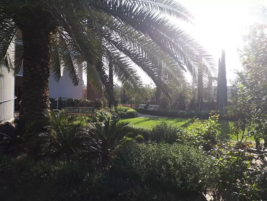 Immagine 9 di Locale commerciale in affitto  in Via C. Bruschelli a Teramo