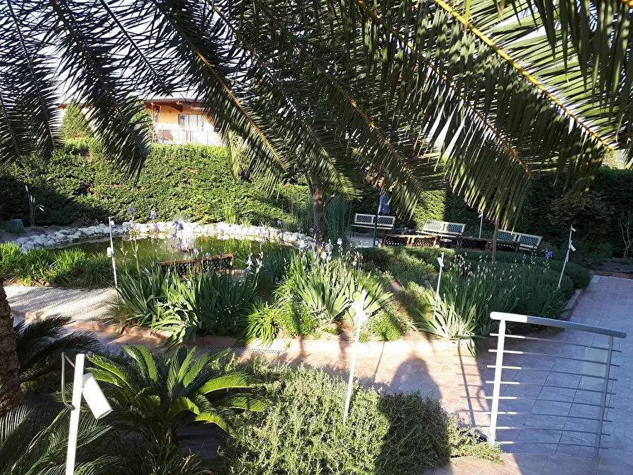 Immagine 10 di Locale commerciale in affitto  in Via C. Bruschelli a Teramo