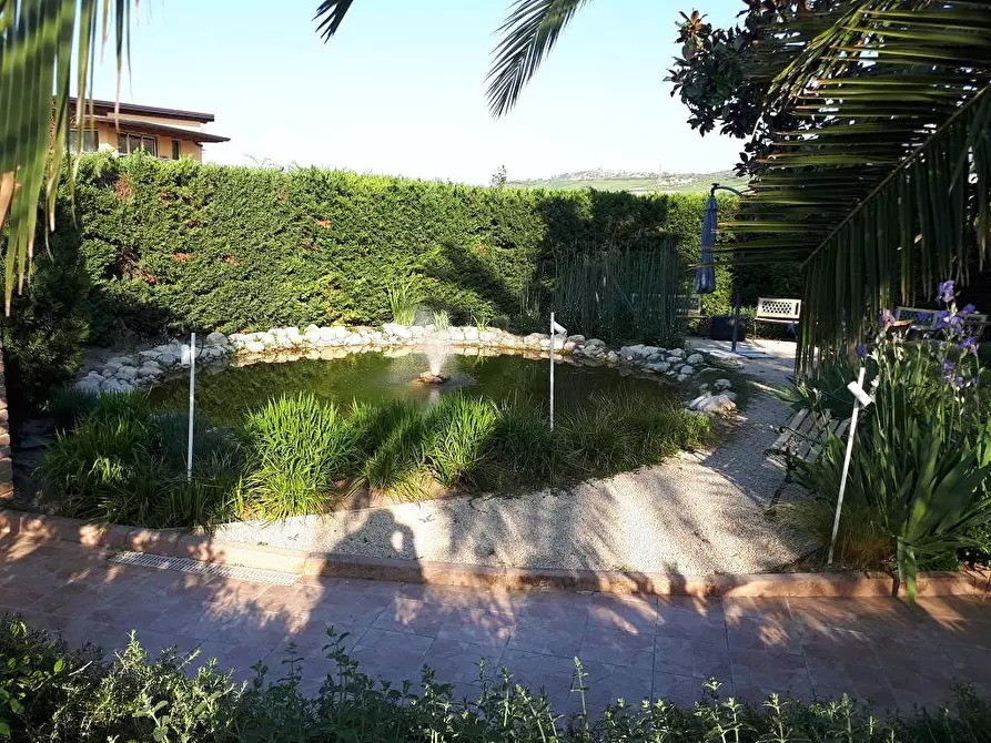 Immagine 11 di Locale commerciale in affitto  in Via C. Bruschelli a Teramo